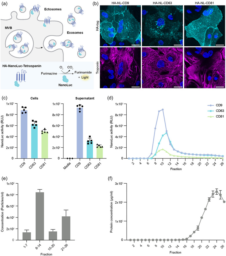 外泌体技术服务