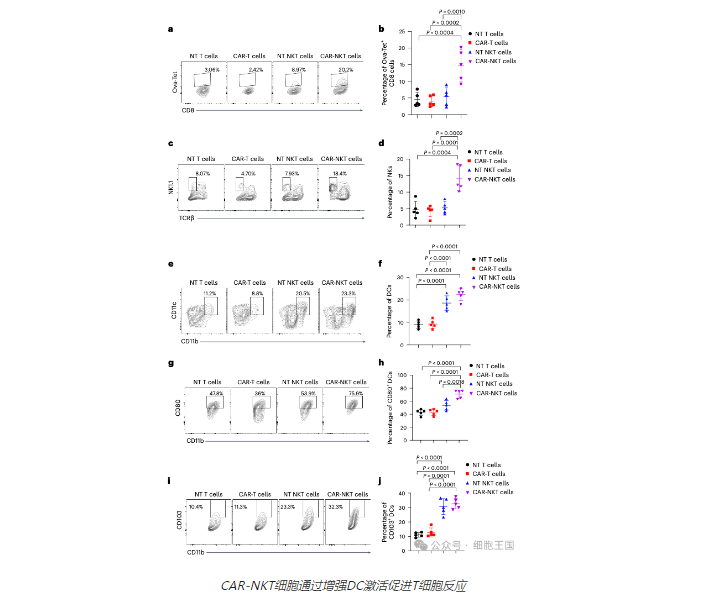 运筹帷幄决胜千里，CAR-NKT 细胞重新激活免疫军团