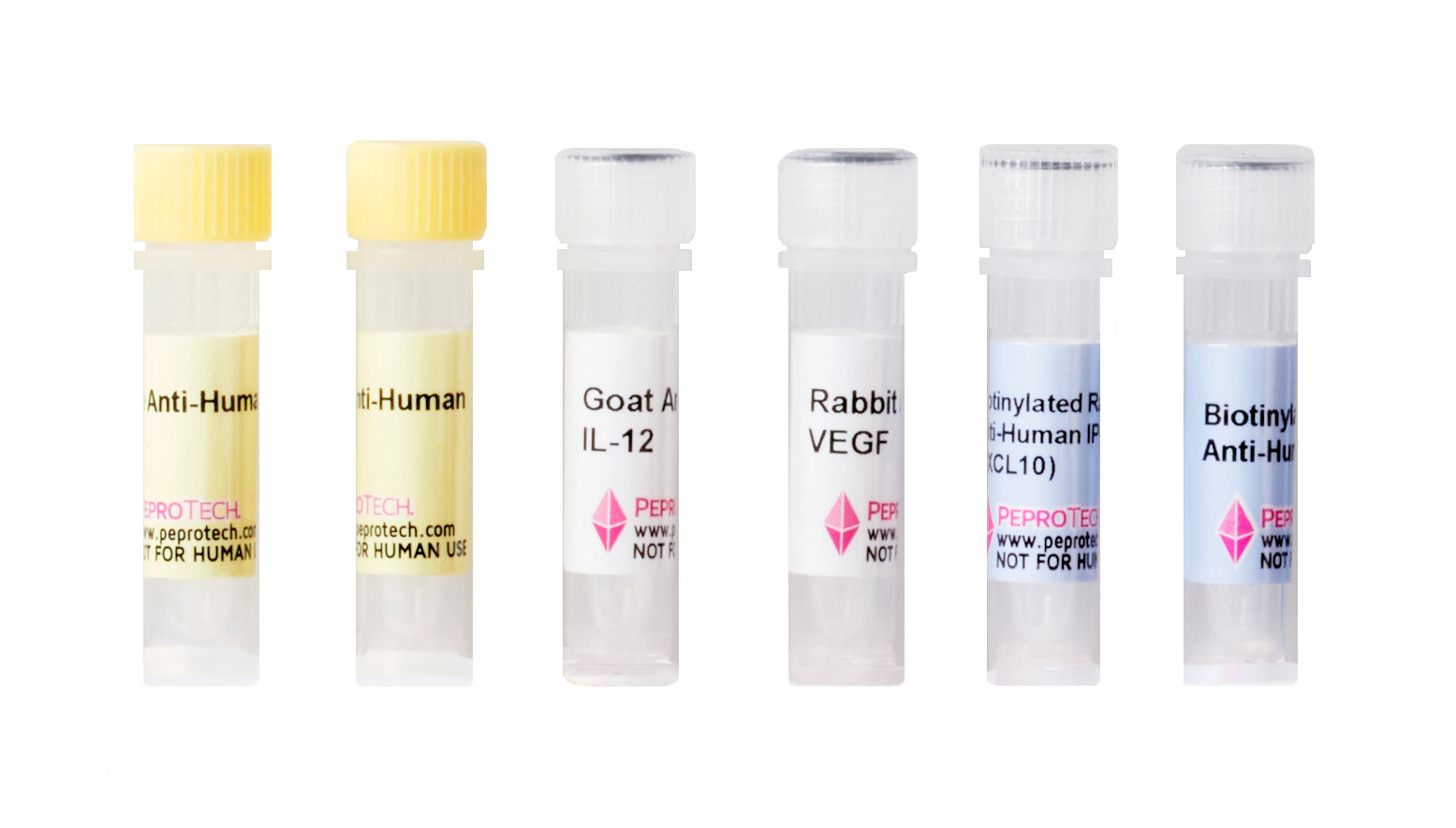 PeproTech兔抗人Neuroserpin多抗 生物素标记 50ug