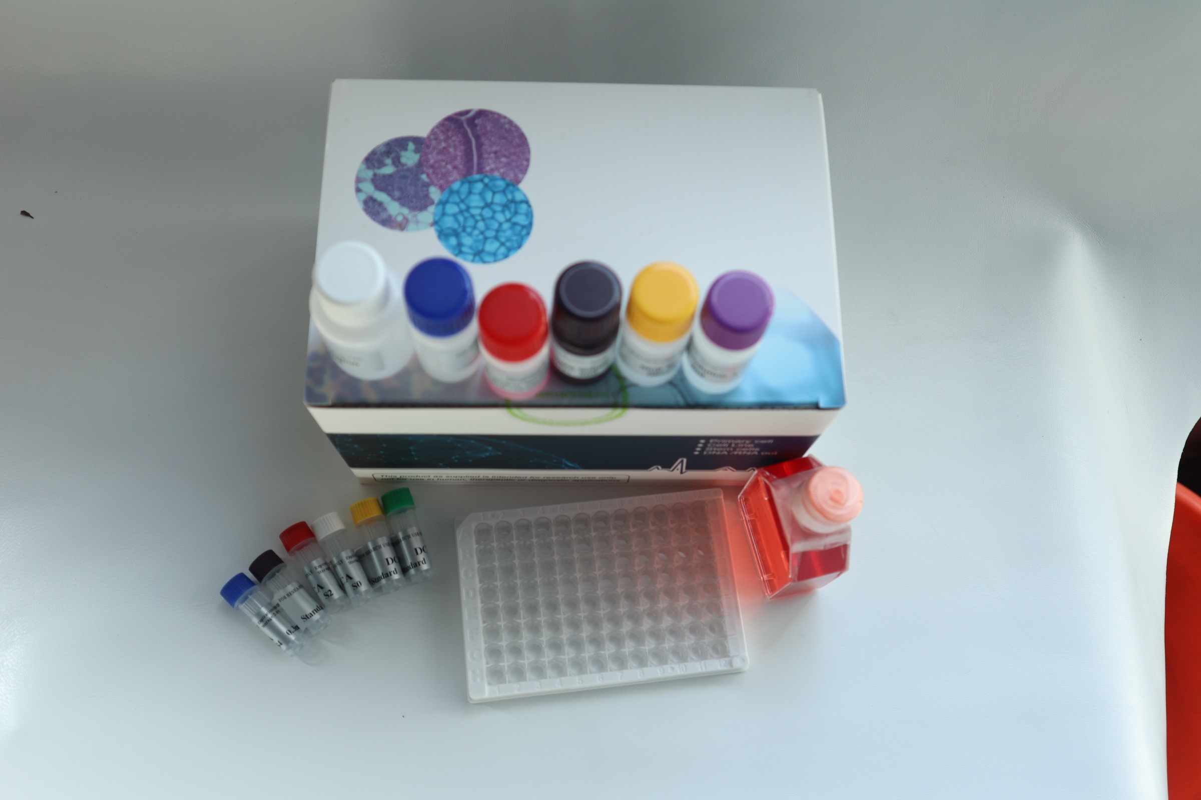 ELISA试剂盒ELISA空白对照有几种