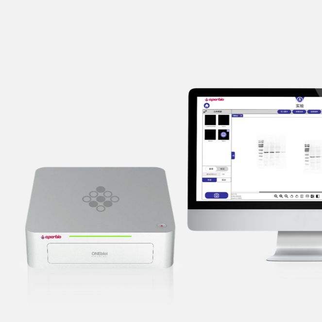 ONEblot近场高感光化学发光成像仪