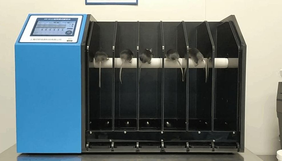 动物行为学 | 转棒实验 （Rotarod test，RT）