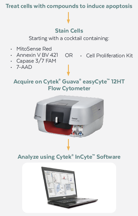 Cytek® Guava® easyCyte™流式细胞仪-药物筛选的高性价比选择
