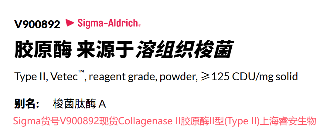 Sigma货号V900892现货Collagenase II