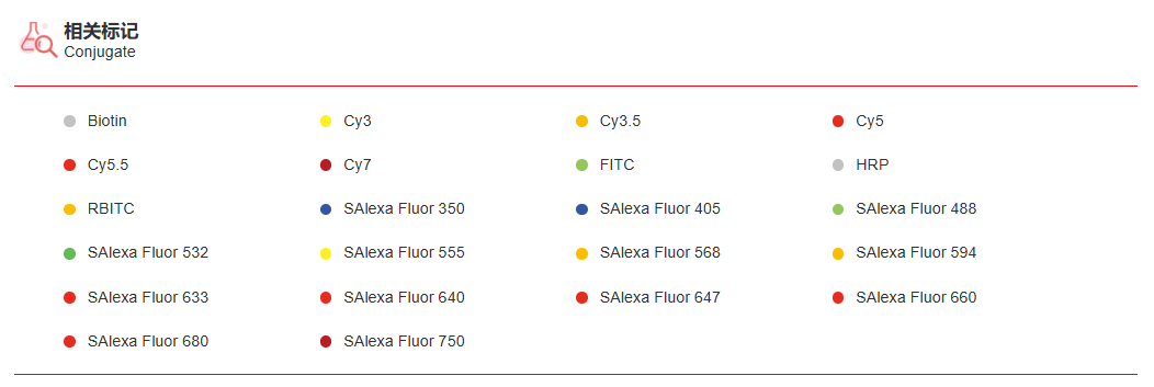 K115380P Anti-NUDT4 Polyclonal