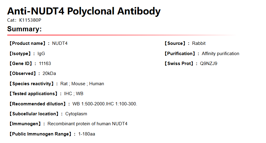 K115380P Anti-NUDT4 Polyclonal