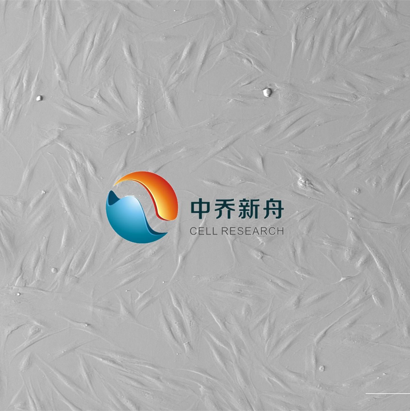 产品封面图