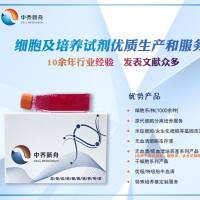 小鼠骨膜间充质干细胞