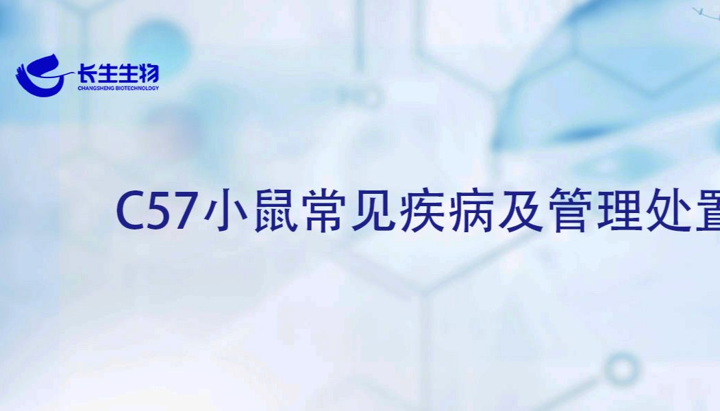 C57小鼠常见疾病及管理处置（下）
