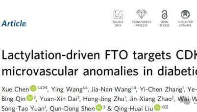 高分SCI合辑丨斑马鱼在乳酸化作用机制及相关应用研究中的进展