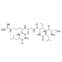 171436-38-7  | SLIGRL-NH2（Protease-Activated