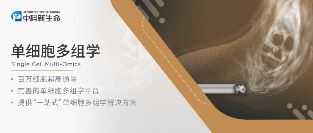 Ecotoxicol Environ Saf | 汕大医附二院钟晓平/陈嘉胜团队揭示香烟烟雾提取物影响颅面软骨发育的关键机制