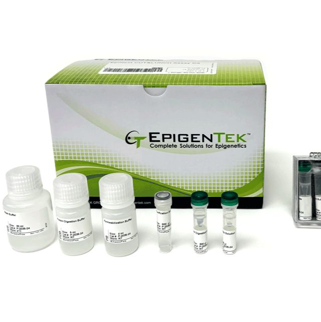 超越CUT&RUN或CHIP,EpigenTek的新CUT&LUNCH套件