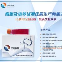 小鼠骨髓单核巨噬细胞