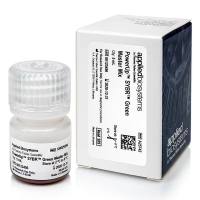 维百奥生物现货销售PowerUp™ SYBR™ Green 预混液