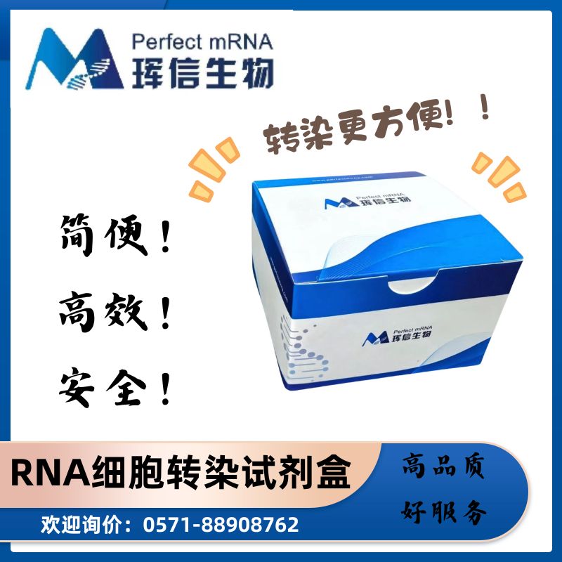 RNA细胞转染试剂盒