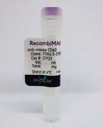 RecombiMAb anti-mouse CD40抗体年终促销啦