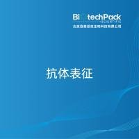 抗体表征
