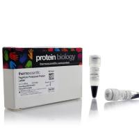 维百奥现货销售PageRuler™ 预染蛋白分子量标准，10 至 180 kDa