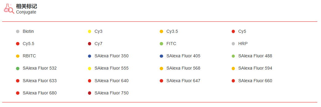 K115312P Anti-RRP8 Polyclonal 