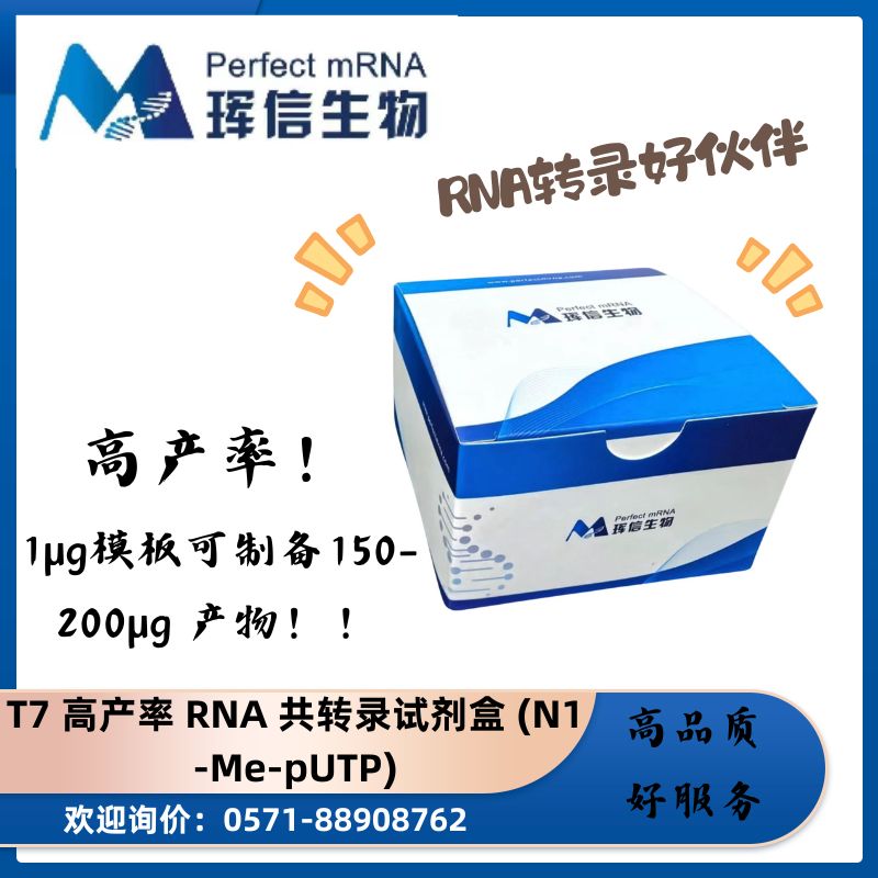T7 高产率 RNA 共转录试剂盒 (N1 -Me-pUTP)