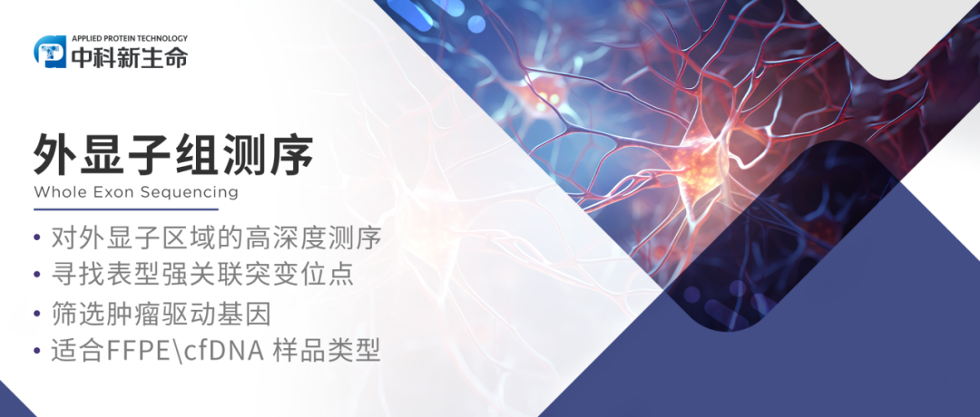 Nat Hum Behav | 复旦大学郁金泰/程炜团队又有新突破！UKB队列外显子分析揭示神经质罕见基因突变