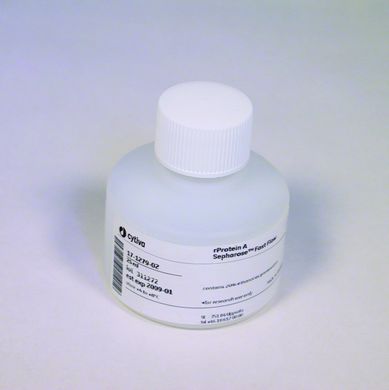 RPROTEIN A SEPHAROSE FF