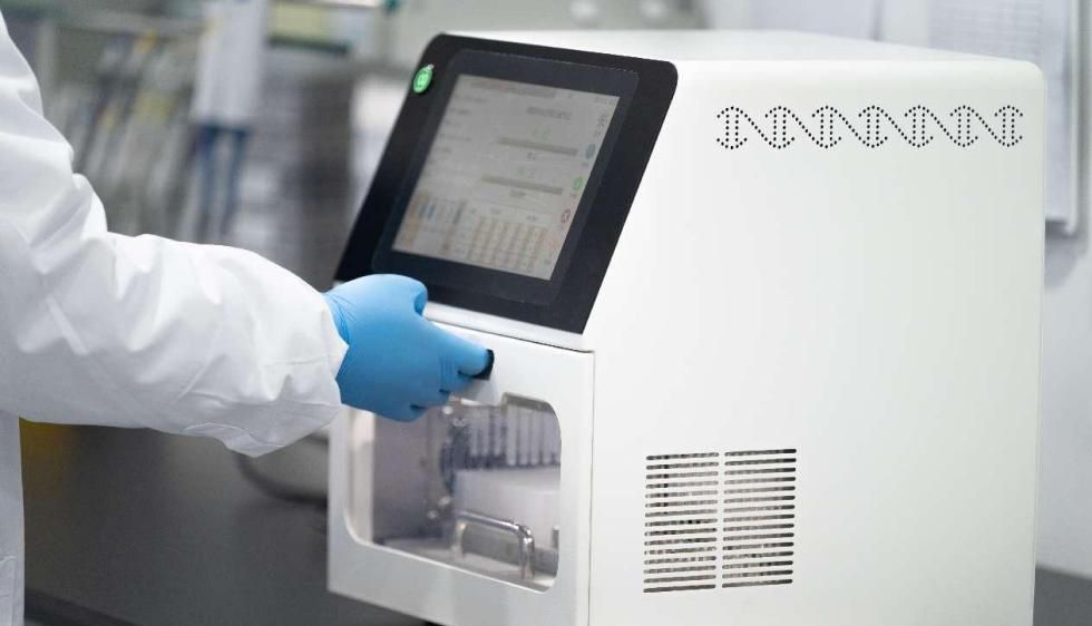 如何从植物中高效提取核酸