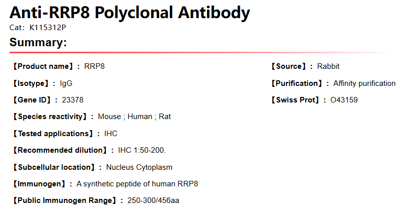 K115312P Anti-RRP8 Polyclonal 