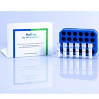 维百奥生物现货销售Mastermix 16S/18S Basic