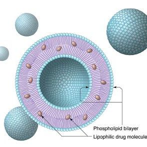 红色荧光标记100nm空白脂质体 粒径100/200/300/400/500nm 定制荧光脂质体(lipsome)