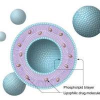 红色荧光标记100nm空白脂质体 粒径100/200/300/400/500nm 定制荧光脂质体(lipsome)