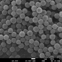 时间分辨荧光微球