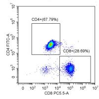 表面染色/表面靶标染色/流式细胞检测