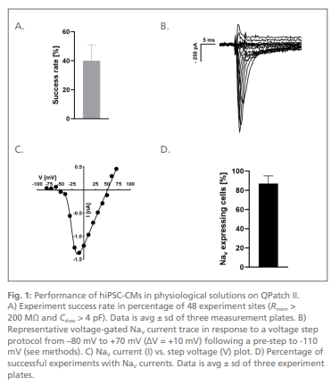 使用QPatch II记录hIPSC诱导的心肌细胞
