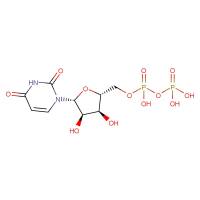 尿苷-5'-二磷酸|58-98-|UDP