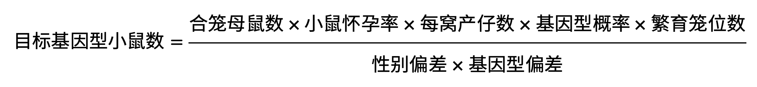 写给养鼠新人的详细攻略，让你接到鼠鼠后不再手忙脚乱