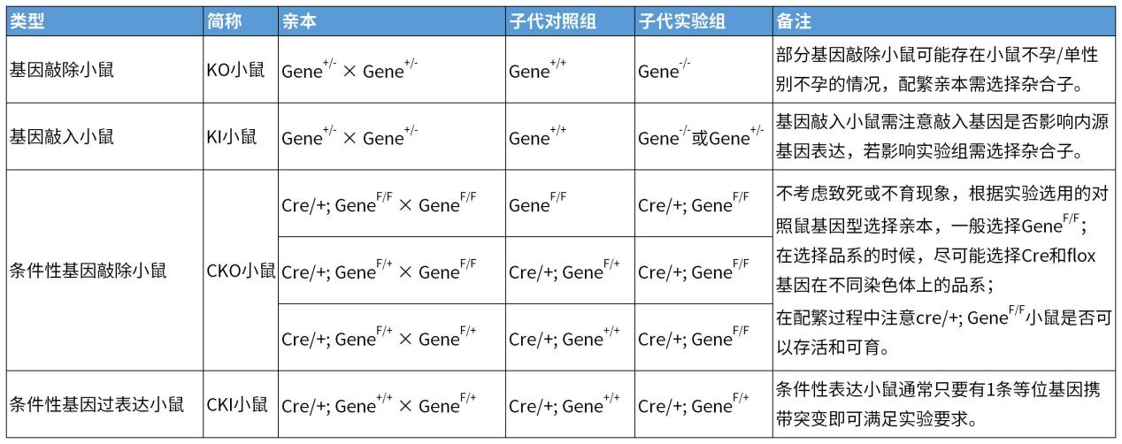 写给养鼠新人的详细攻略，让你接到鼠鼠后不再手忙脚乱