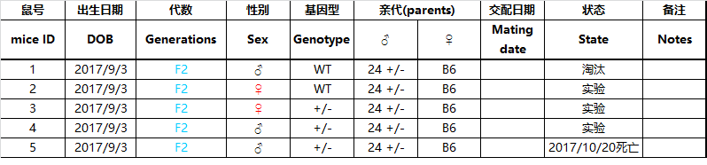 写给养鼠新人的详细攻略，让你接到鼠鼠后不再手忙脚乱