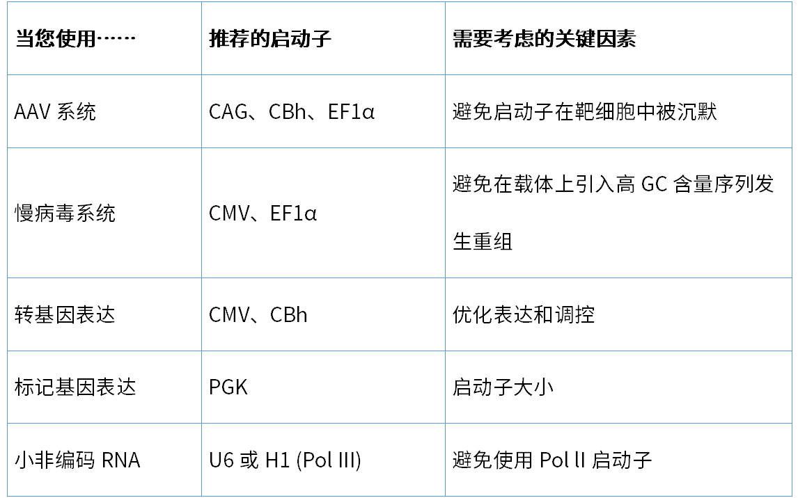 针对不同的递送系统选择启动子——基因高效表达的钥匙