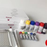 Burkholderia spp.伯克氏菌探针法荧光定量PCR试剂盒