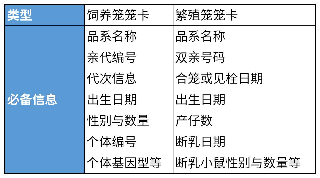 写给养鼠新人的详细攻略，让你接到鼠鼠后不再手忙脚乱