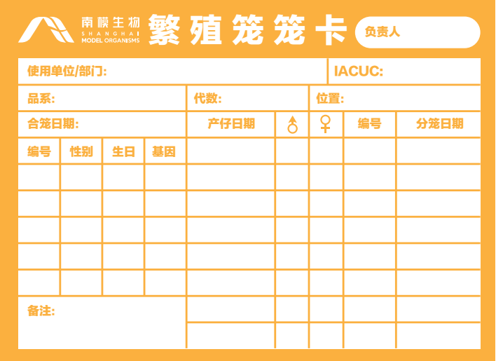 写给养鼠新人的详细攻略，让你接到鼠鼠后不再手忙脚乱