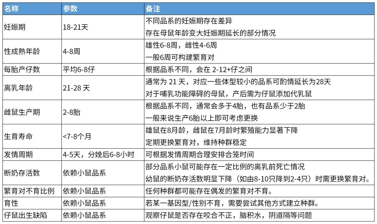写给养鼠新人的详细攻略，让你接到鼠鼠后不再手忙脚乱