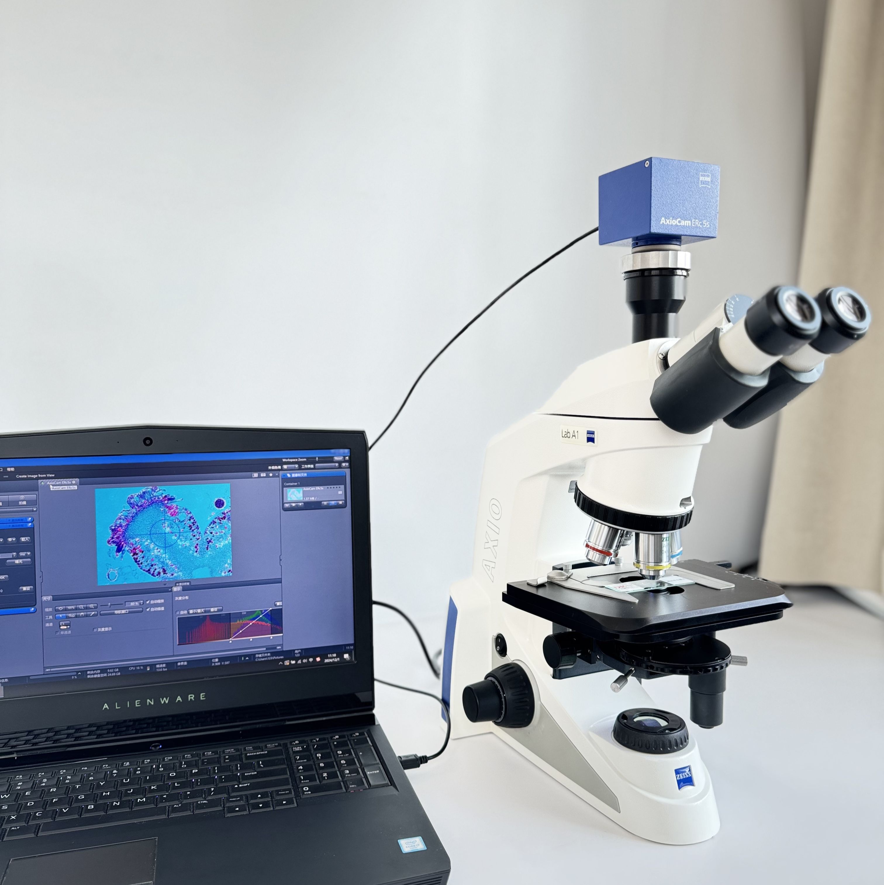 蔡司/ZEISS AXIO Lab.A1相差显微镜出库带质保 