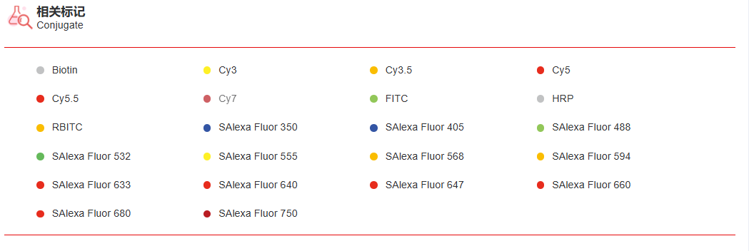 K115412P Anti-BTF3 Polyclonal 