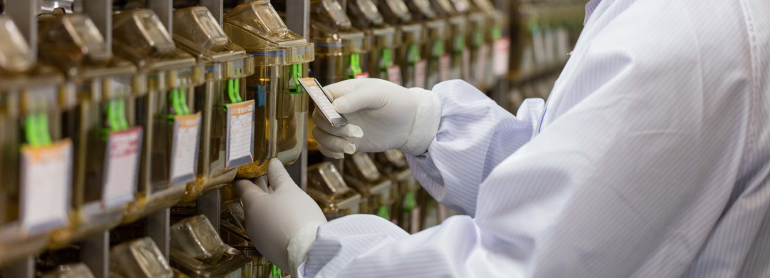 写给养鼠新人的详细攻略，让你接到鼠鼠后不再手忙脚乱