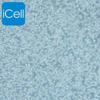 SU-DHL-4 |SU-DHL-4细胞|SUDHL4|SUDHL4细胞|SUDHL4人B淋巴瘤