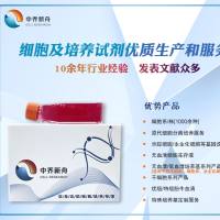 人肠粘膜上皮细胞