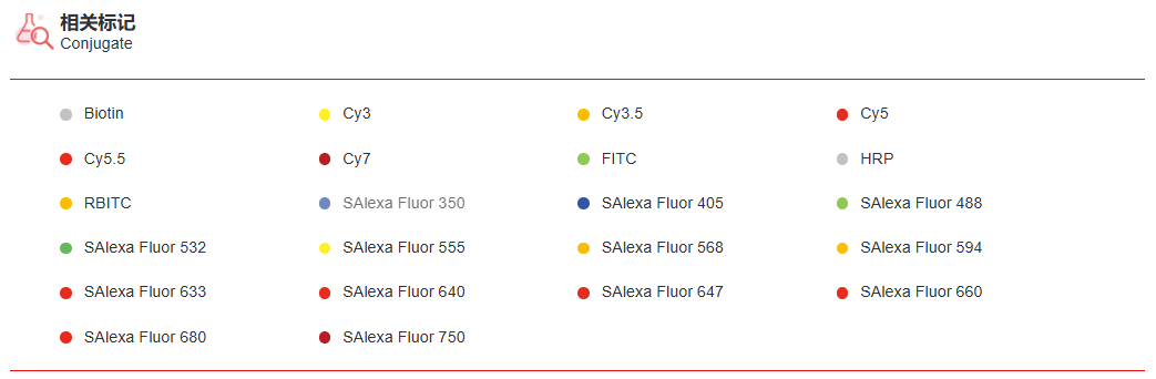 K115437P Anti-LILRA2 Polyclona